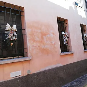 Lollo Mantua
